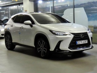 NX 350h 력셔리
